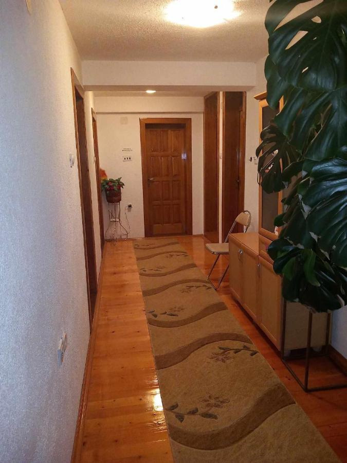 Apartment Little Village Plav Exterior photo
